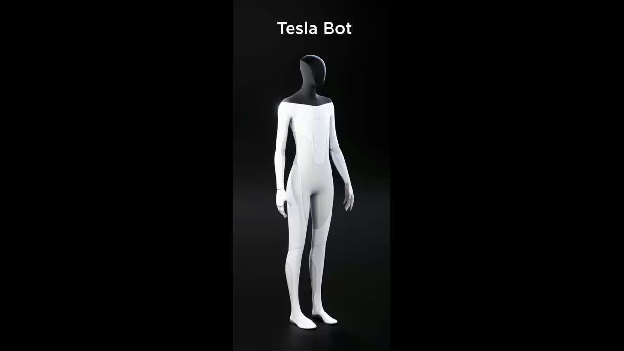 The Tesla Bot: Explained and what it holds for the future - Podcast