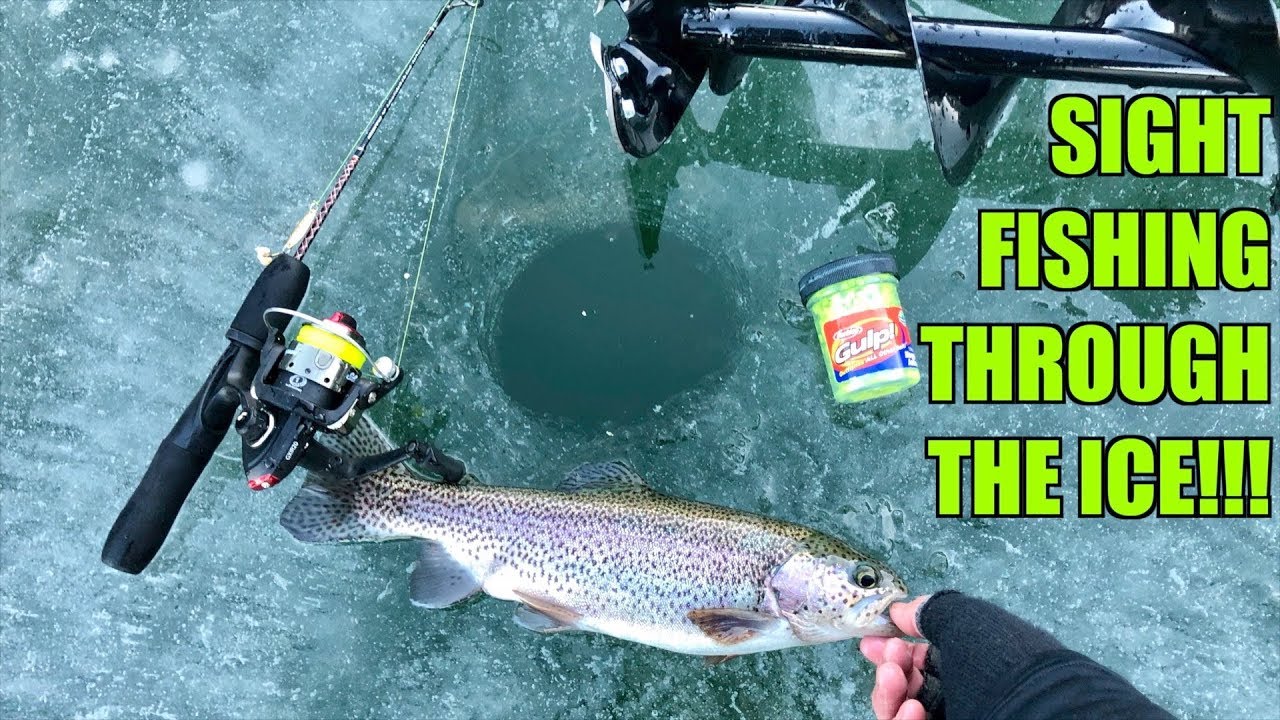 CRAZIEST Ice Fishing Day of my Life!!! (SIGHT-FISHING Through the Ice)
