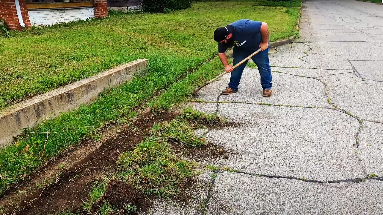I gave this random RENTER a FREE makeover lawn cut - TIME-LAPES OF THE CRAZY YARD CLEAN UP