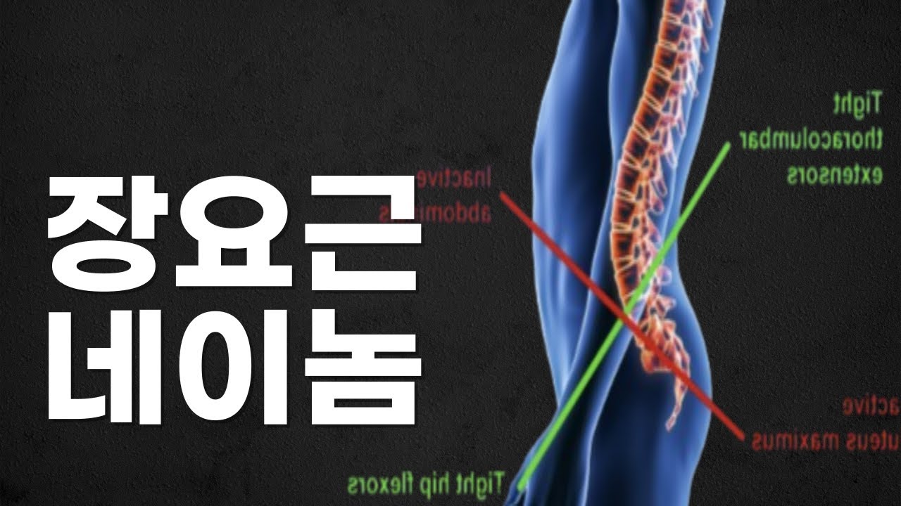 힙업운동은 장요근 스트레칭부터 시작해야 합니다 #허리통증 #장요근스트레칭