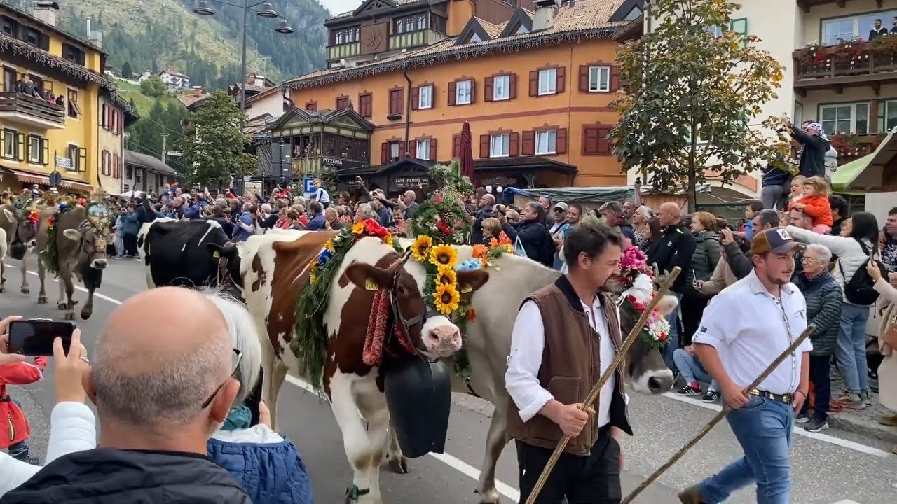 Desmonteada di Moena - Festival del Puzzone, 2024