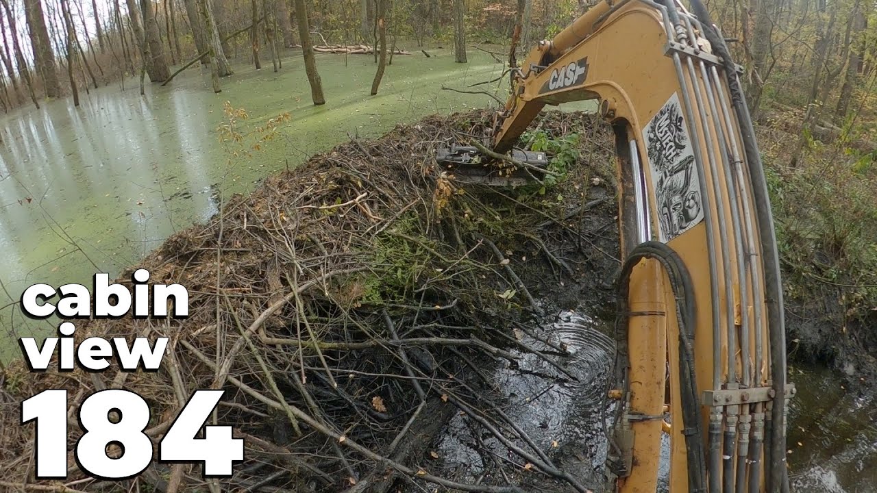 Een grote dam midden in het bos - Verwijdering van een beverdam met graafmachine nr. 184 - Uitzicht vanaf de hut