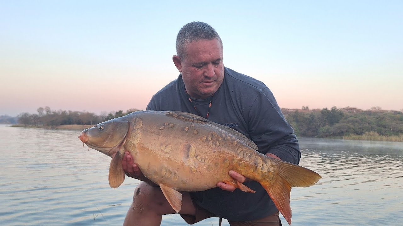 New Venue: Carpfishing Albasini Dam Louis Trichardt 