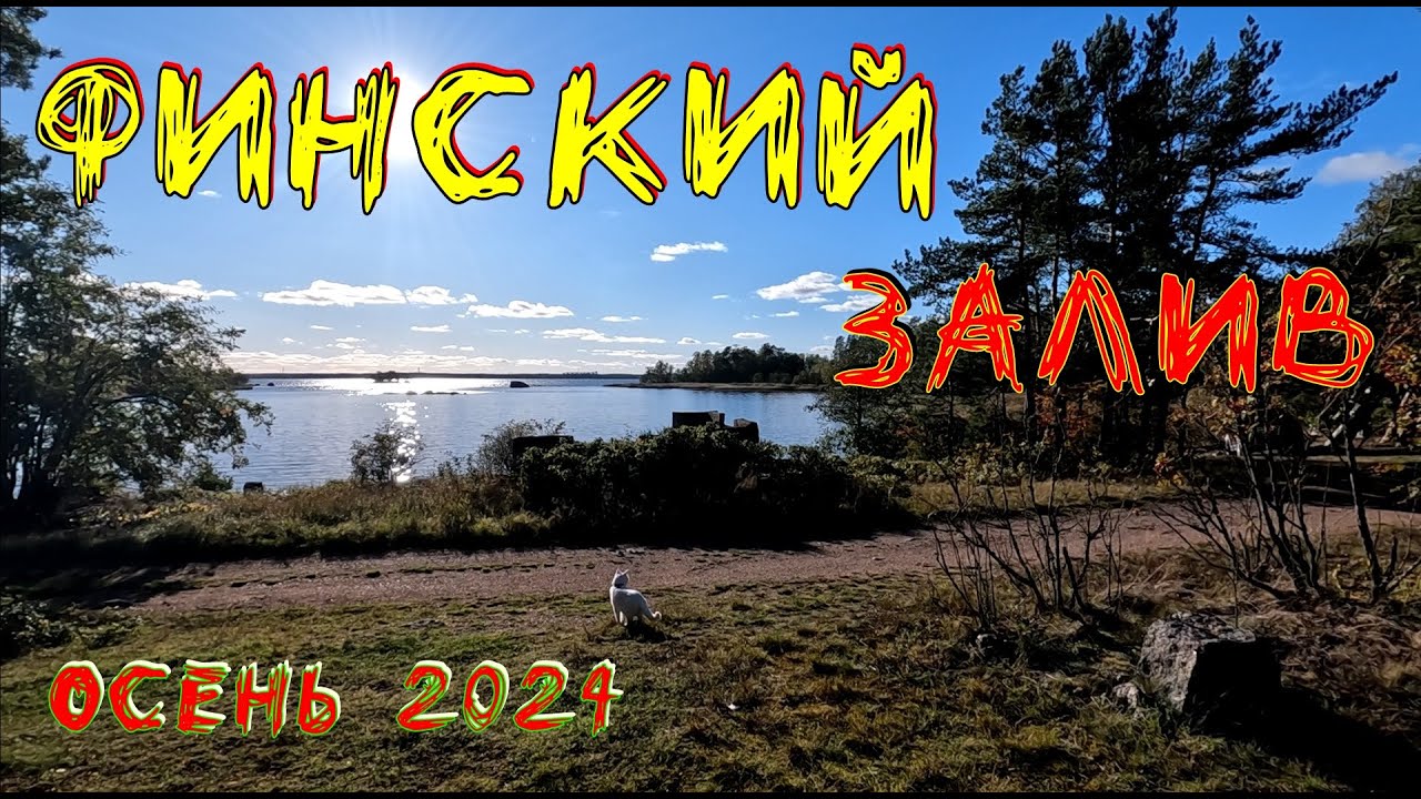 Финский залив. Неудавшаяся рыбалка. Смерть редуктора мотора.