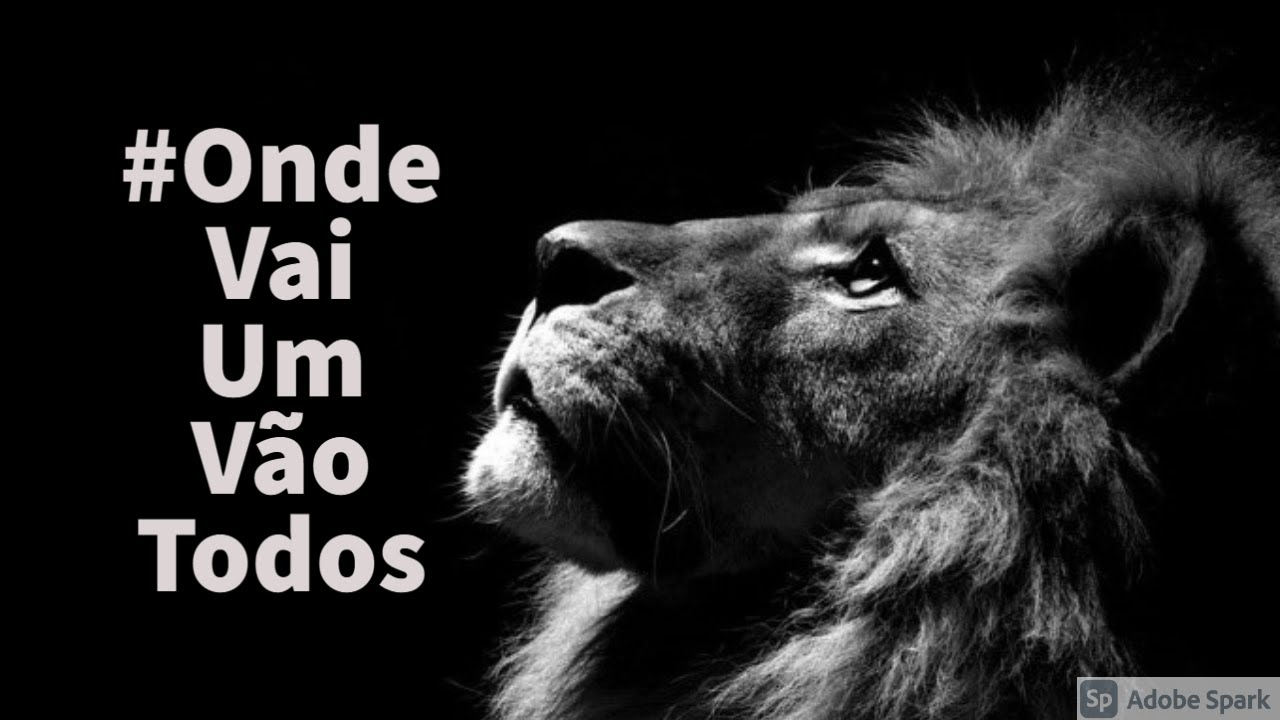 Motivacional Sporting - Vocês Sabem lá