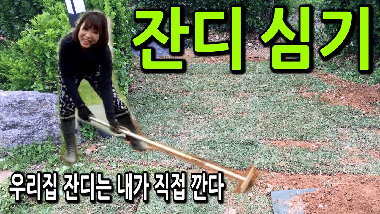 고프로의 전원생활ㅣ셀프 잔디 심기. 잔디 까는 방법. 전원주택 마당 예쁘게 가꾸기. How to lay a new lawn