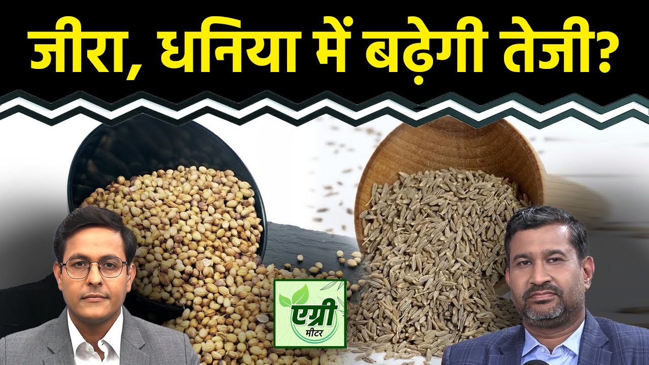 Commodity Market : NCDEX पर जीरा और धनिया में खरीदारी करें या बिकवाली? Trading | Agri Commodity