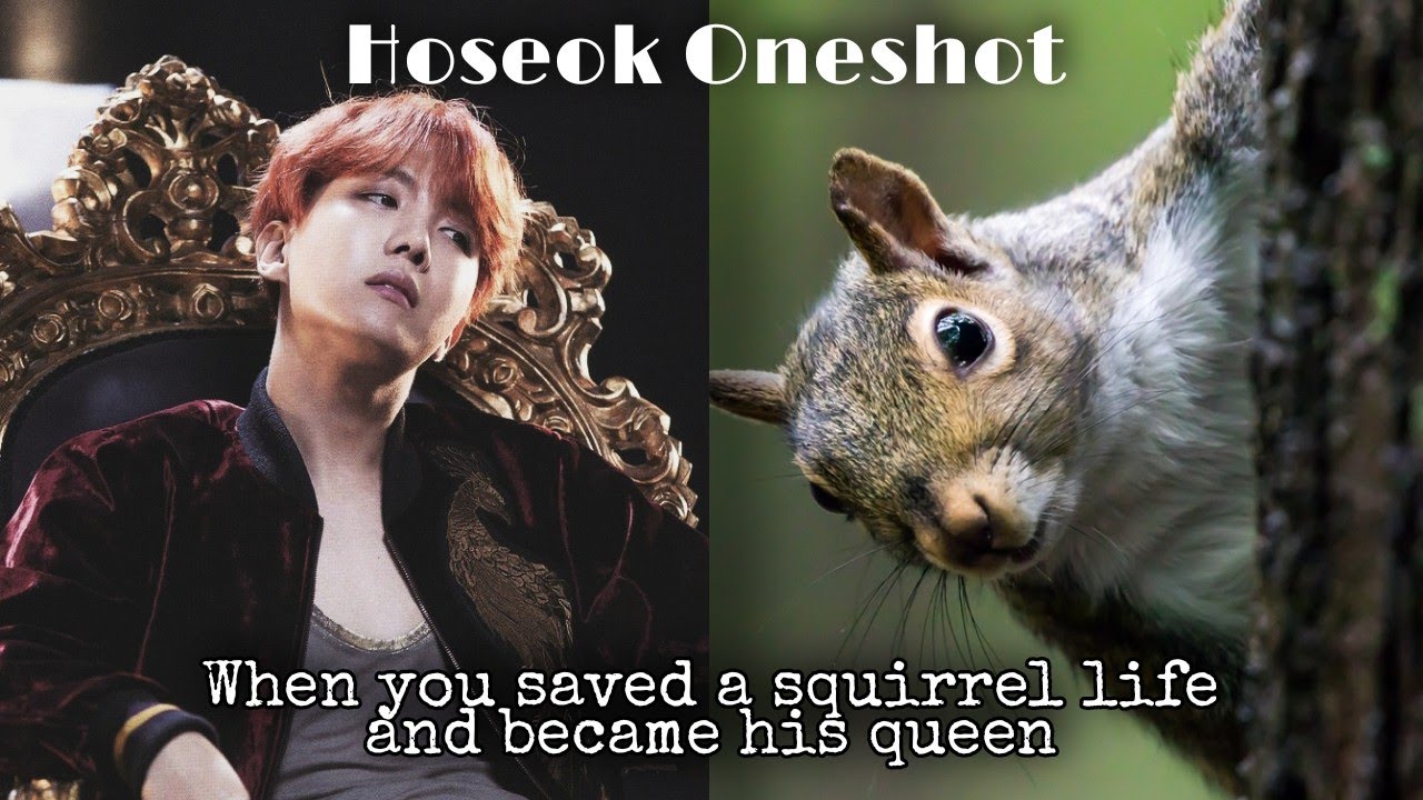 When you saved a squirrel life and became his queen|Hoseok Oneshot|