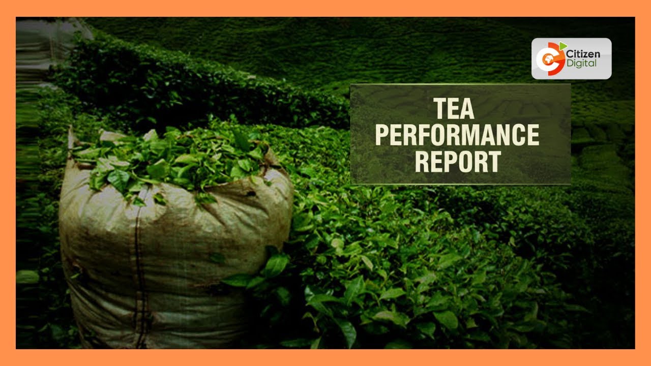 Tea output drops to 49.7M kgs in October despite higher sales