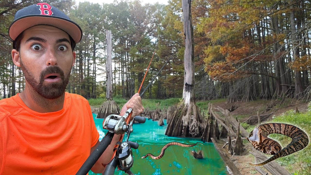 Fishing a SNAKE INFESTED Swamp and Found Them SUPER STACKED UP!!! -- (INSANELY LOADED)