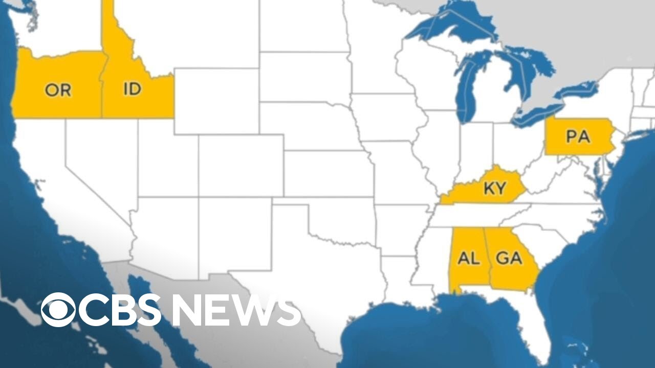 Huge primary elections in multiple states, including Kentucky's race in Thomas Massie's district