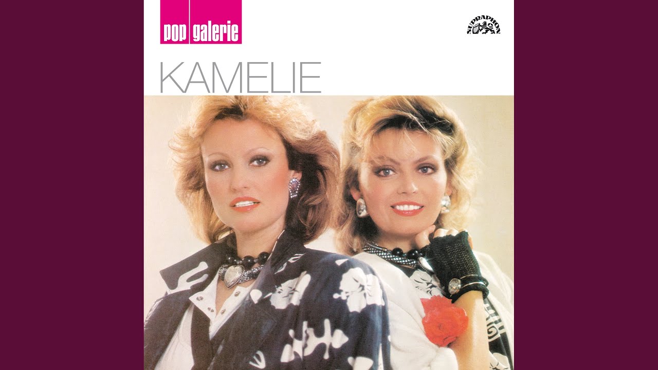 V rytmu galaxie (Červené květy kamelie)