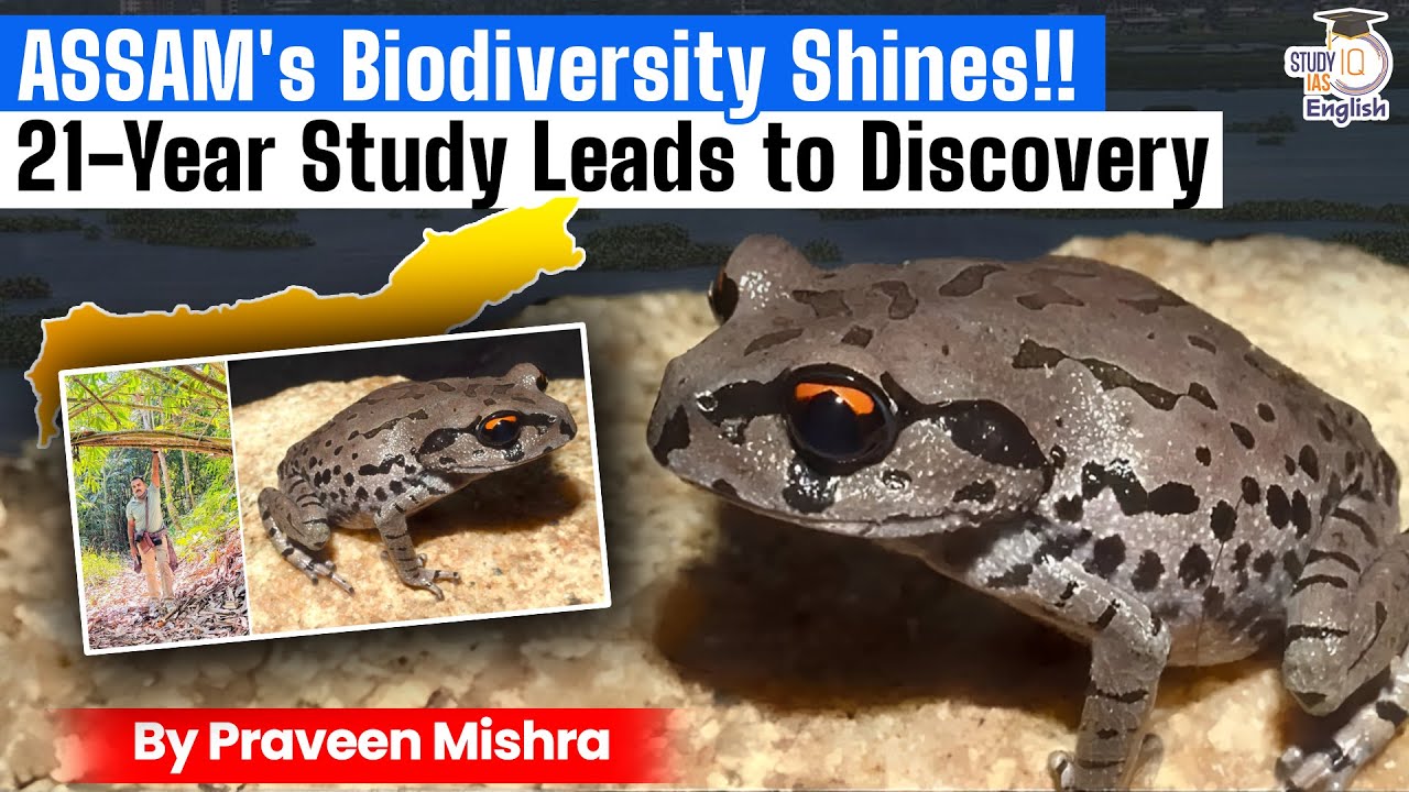 ASSAM's Biodiversity Shines! New Frog Species Discovered After 21 Years | StudyIQ IAS English