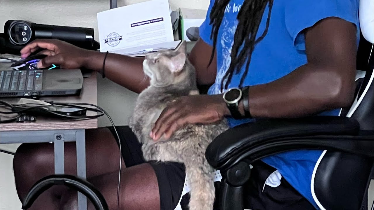 Billi Would Like To Go Home Where Her Toys Are | BilliSpeaks