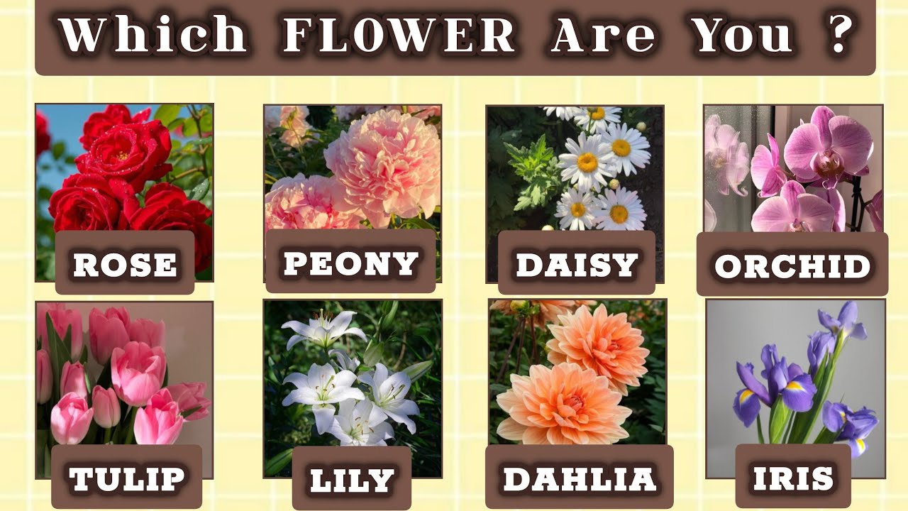 Which FLOWER Are You ? ✨️🌸 Fun Personality Quiz @harni_bee 