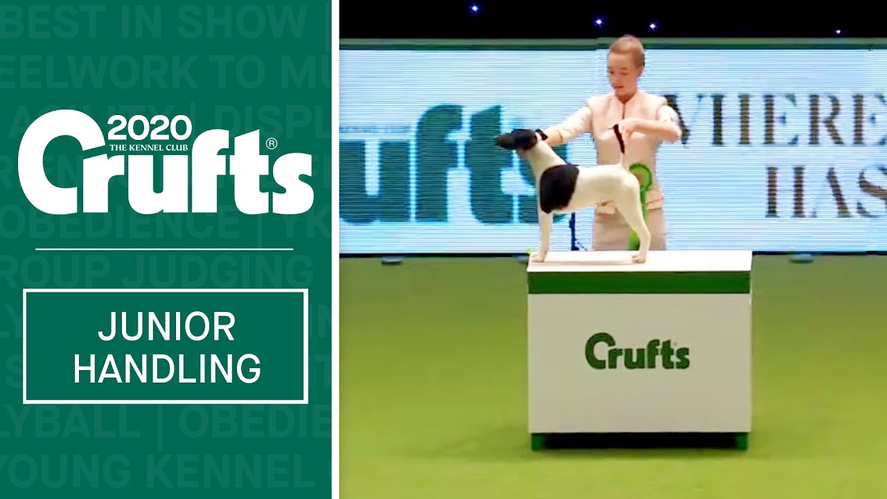 International Junior Handling Competition - Session 1- Part 3 | Crufts 2020
