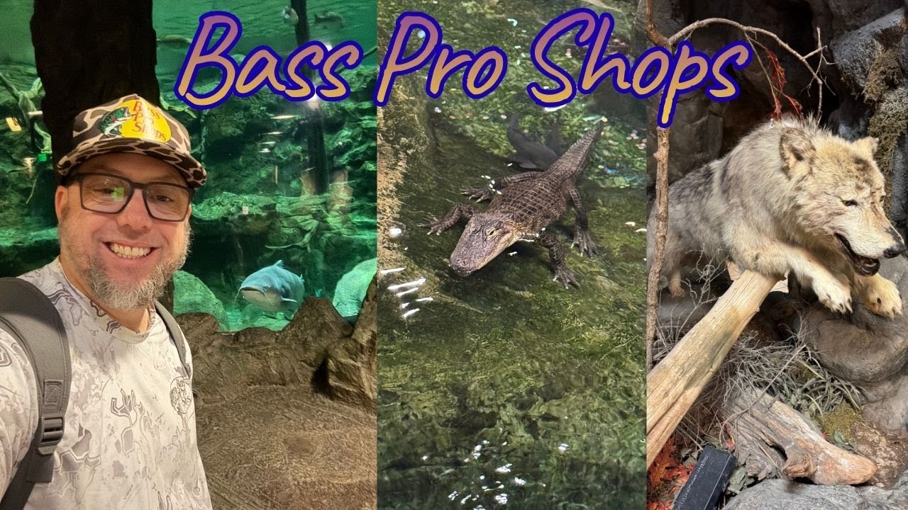 Мой первый визит в Bass Pro Shops в 2026 году | Чучела животных, аквариумы и многое другое | Спри...