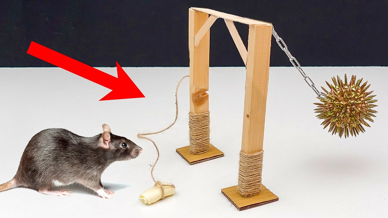 3 IDEIAS INCRÍVEIS QUE QUALQUER UM PODE FAZER