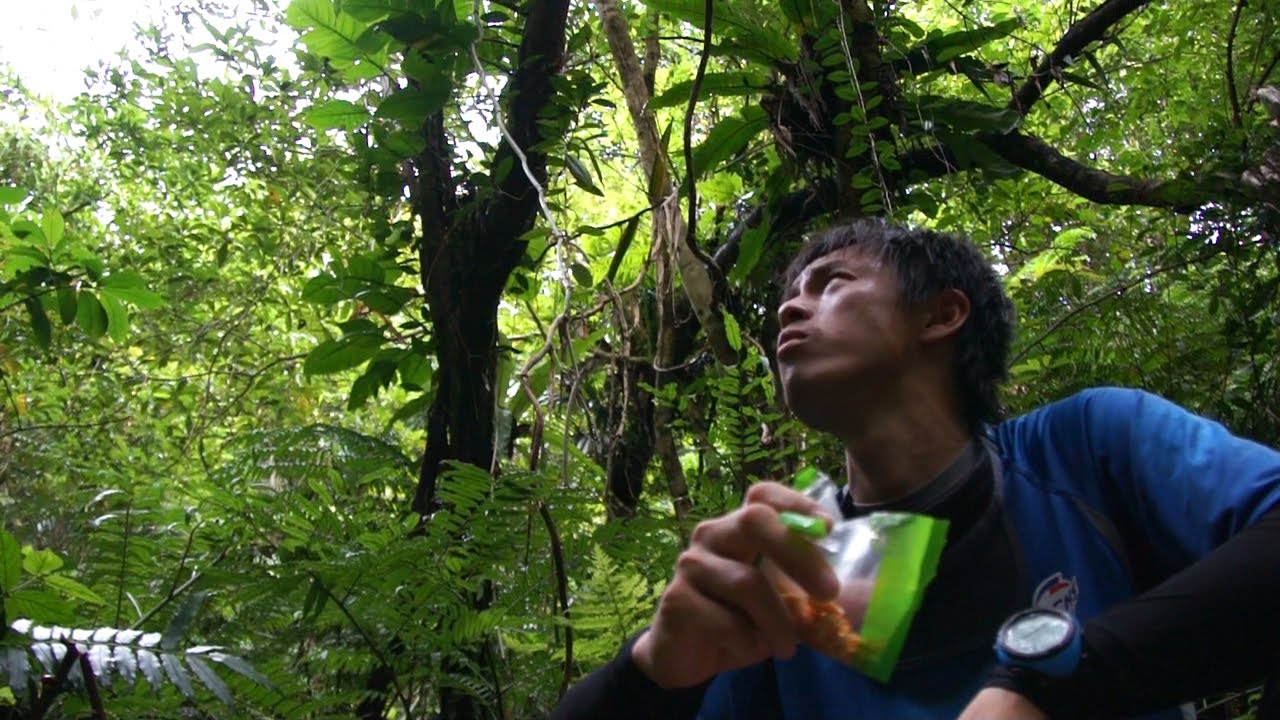 西表島 浦内川支流イタジキ川遡行 Day1 マヤグスクの滝　沢登り Explore the jungles of Iriomote Island.