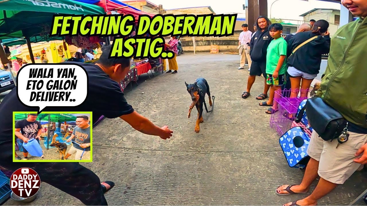 EKSENA SA LABAS AT LOOB NG PET MARKET..  / JAN. 25, 2026 @GROTTO PETS & LIVESTOCK MARKET