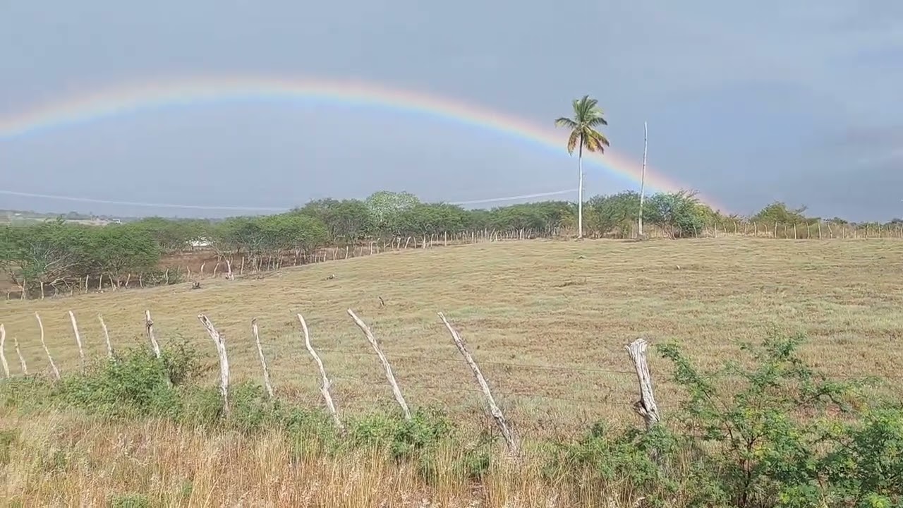 Chuvinha na roça com um arco-íris 🌈  🌧🌧🌧