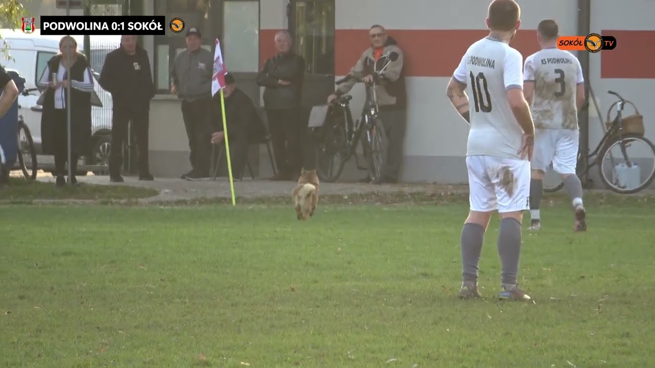 KS Podwolina - Sokół Hucisko 0:2 (0:0) bramki 02.11.2025r.