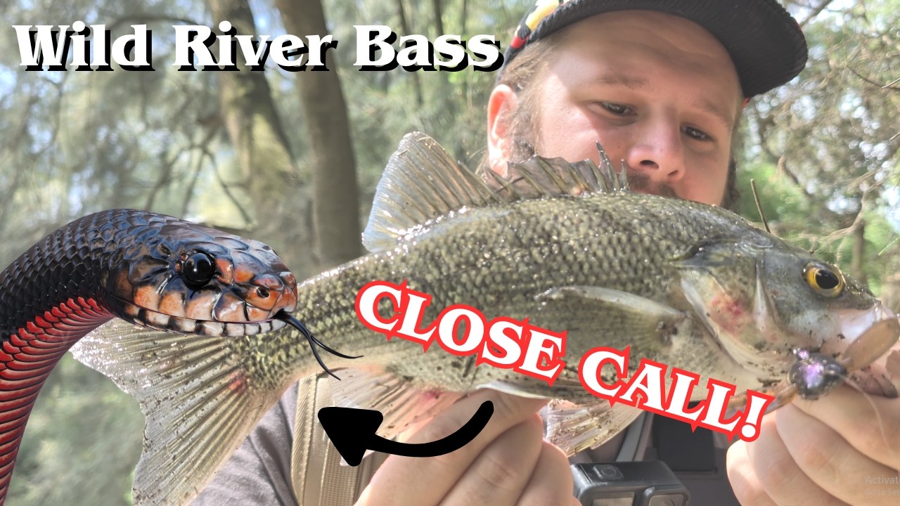 Wild River Bass - CLOSE CALL WITH A SNAKE!