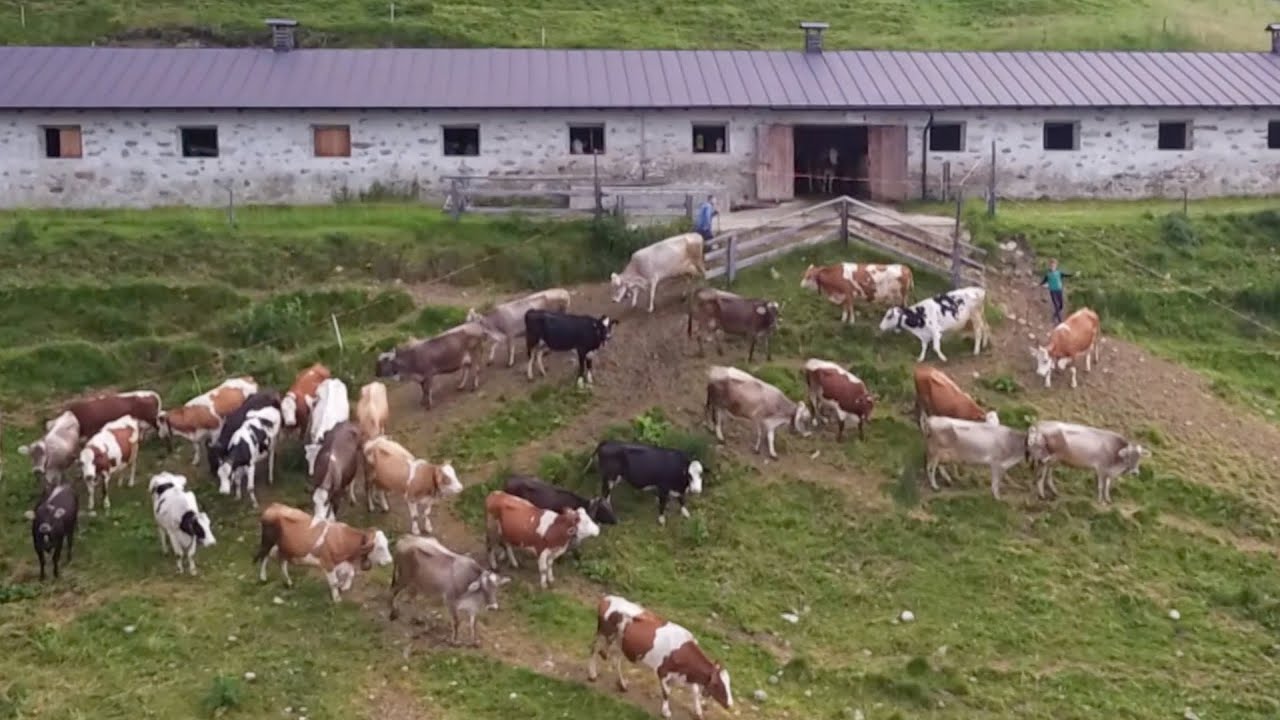VAL DI RABBI: MALGA MONDENT, L' ALPEGGIO-RIFUGIO CHE GUARDA AI GIOVANI