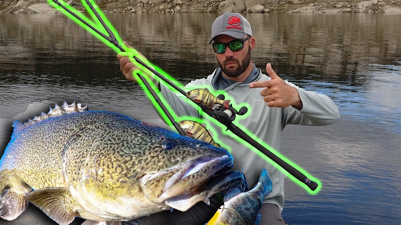 Murray Cod tackle set up for Copeton Dam
