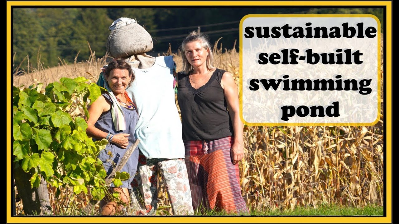 Organic farmer builds his NATURAL SWIMMING POOL - without any technology!