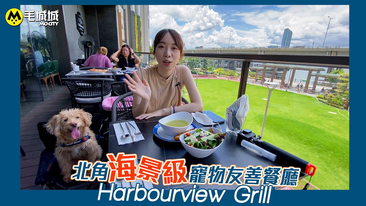 【寵物友善餐廳】北角海景級寵物友善餐廳 - Harbourview Grill