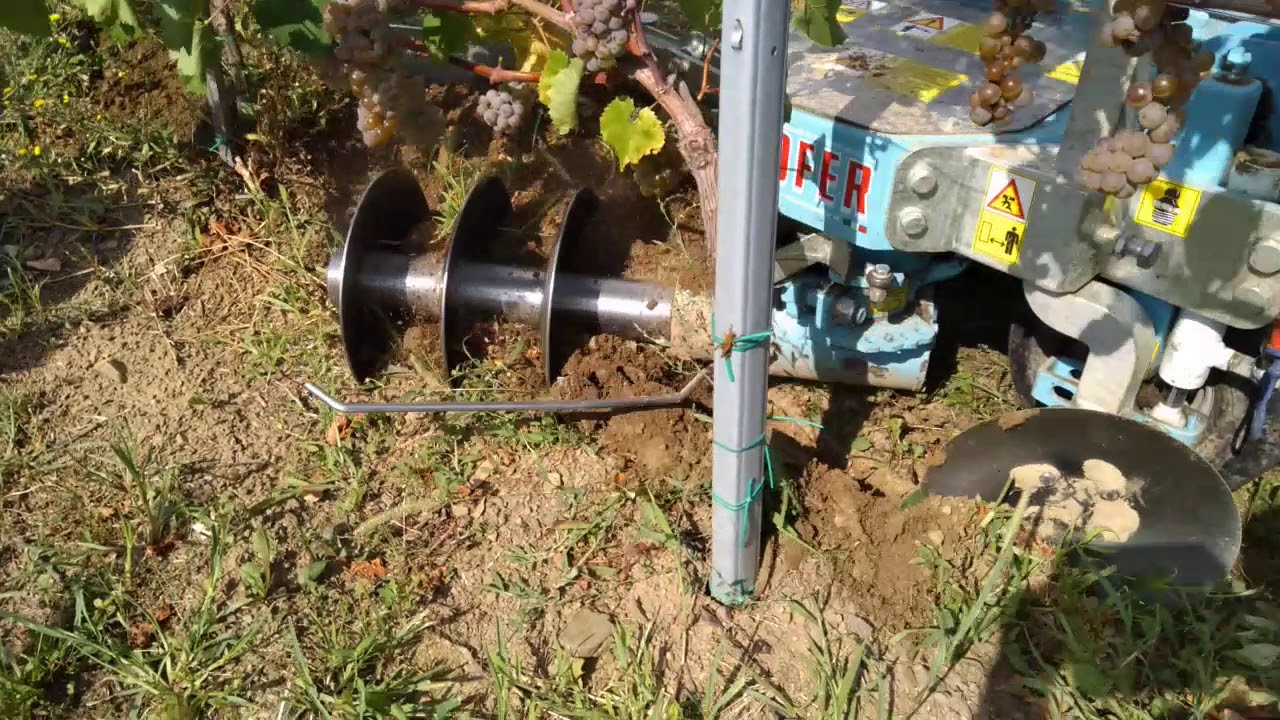 AGROFER-Prikaz v STS Vrpolje