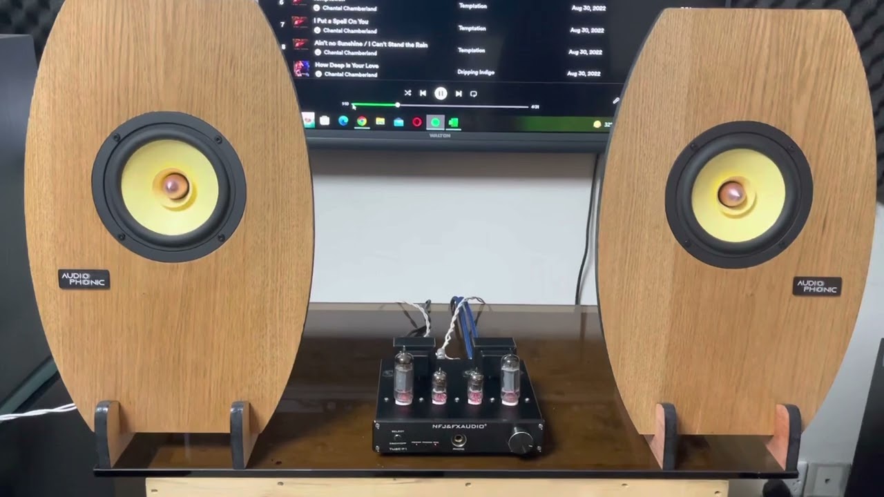 Audio Phonic Open Baffle Speaker test-1