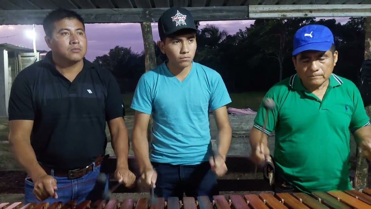 Sones del baile de venado