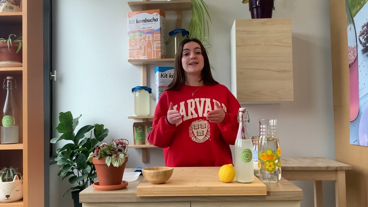 Comment bien conserver ses grains de kéfir ?
