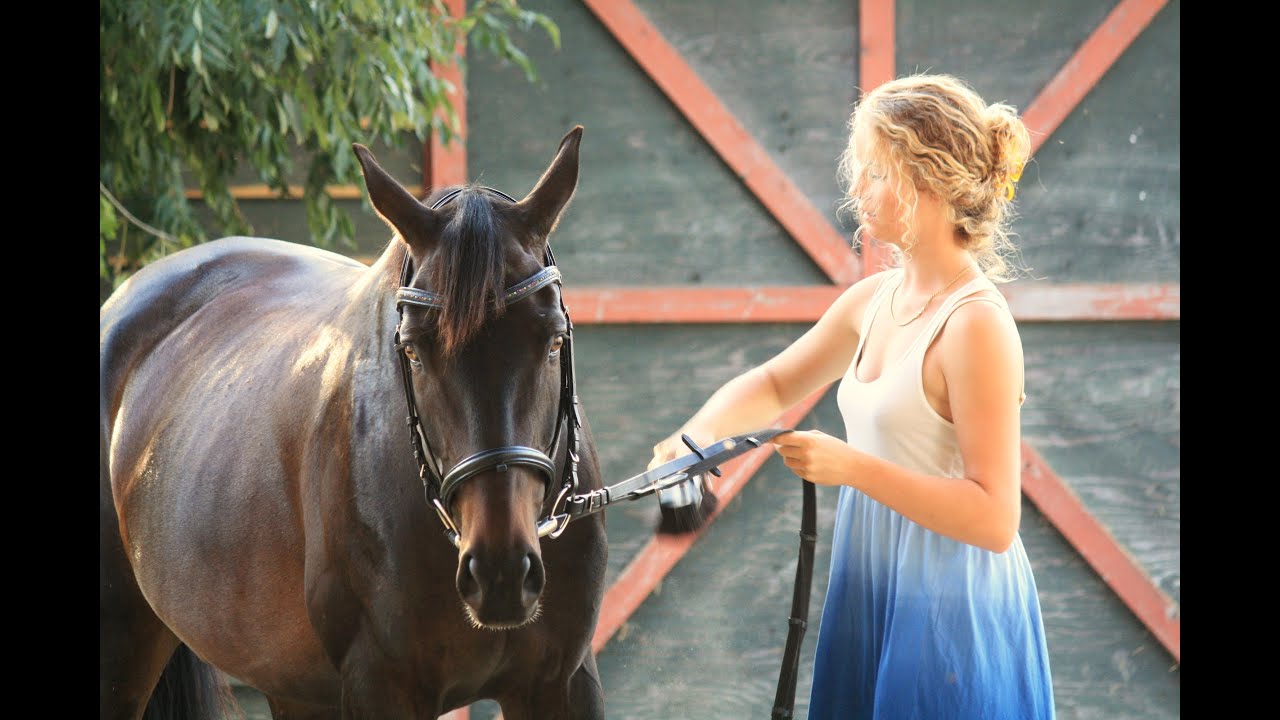 Behind the scenes of an Equestrian Photoshoot!