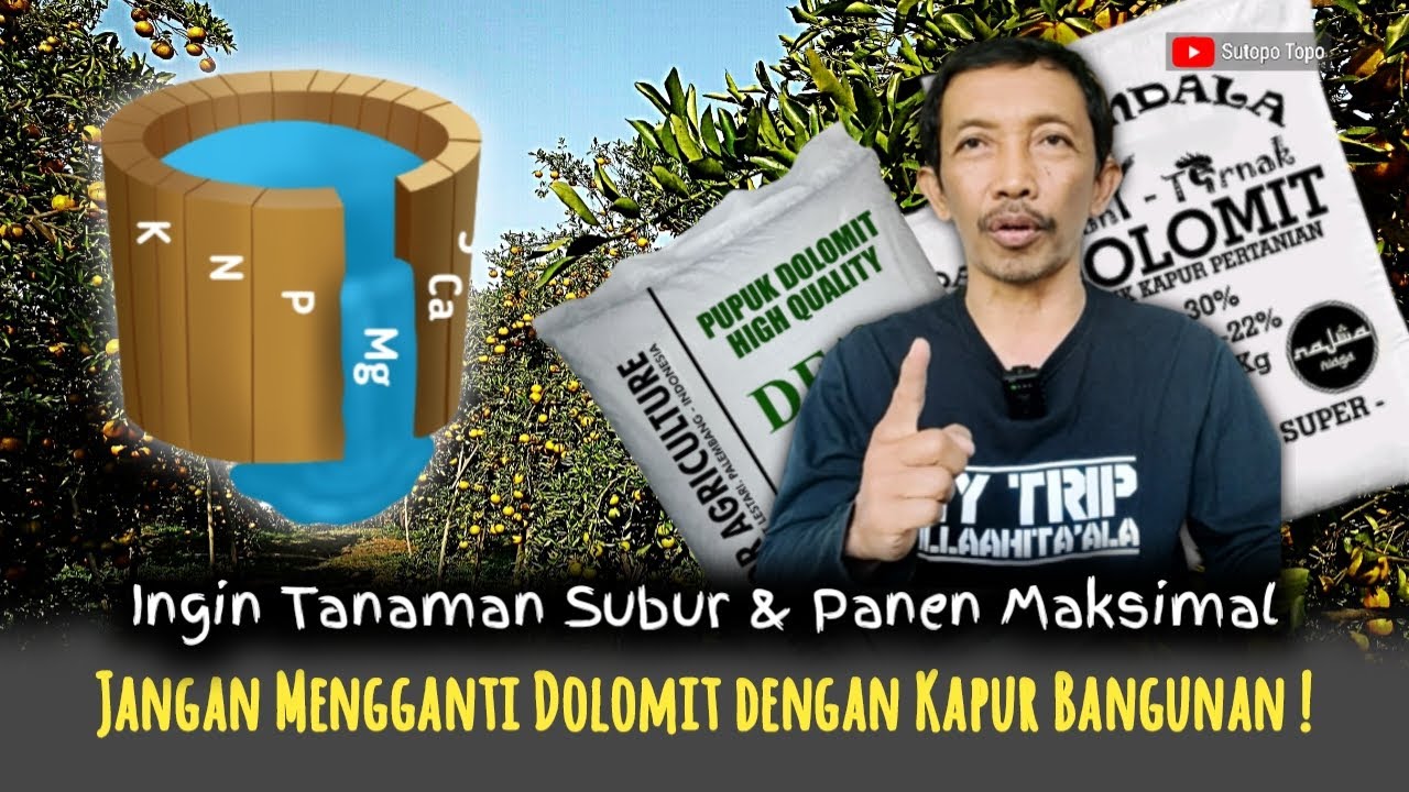 BENARKAH DOLOMIT BISA DENGANTI DENGAN KAPUR BANGUNAN ?