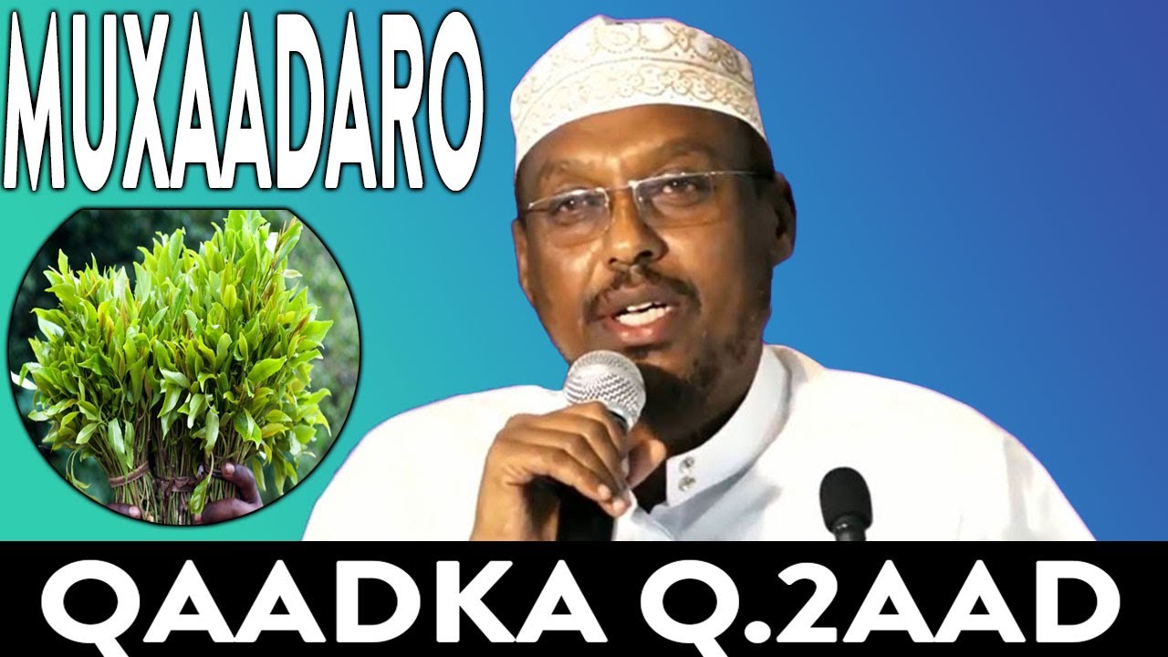 MUXAADARO QAADKA IYO WAXYEELLADIISA QEYBTA 2AAD - SHEEKH MUSTAFE