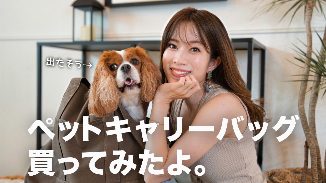 🐶👩【ANZUDOG】ペットキャリーバッグが我が家に必要な理由｜キャバリア