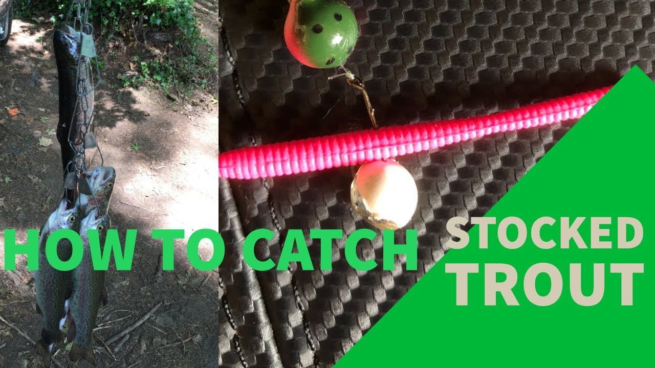 My Favorite Ways To Fish For Stocked Trout