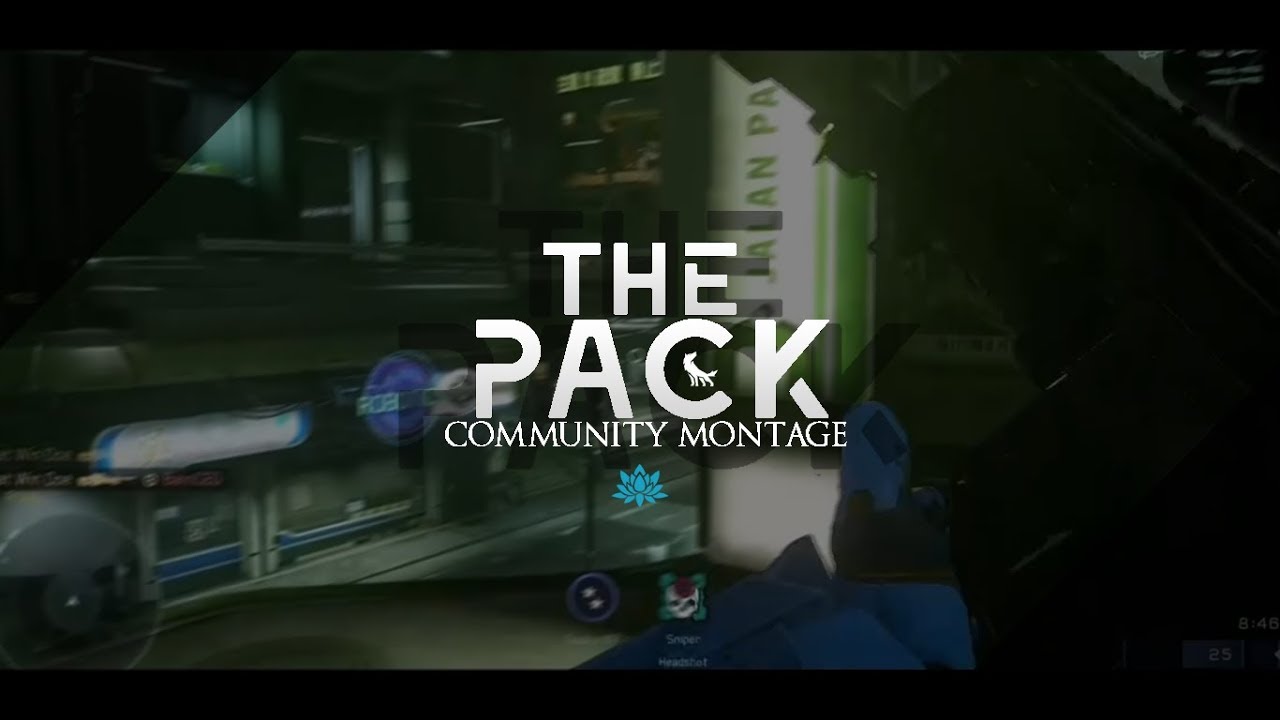 ANML: Community Halo Montage - THE PACK #1 : Edited By Impact #ANML