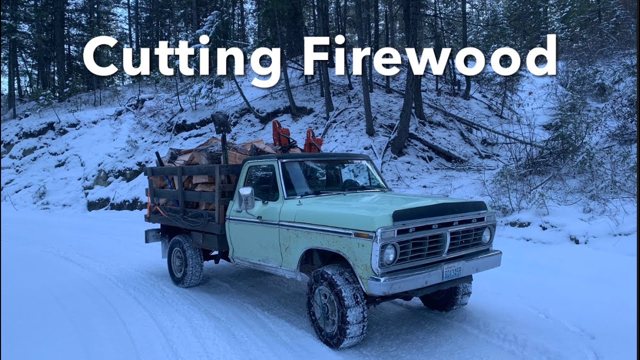 Cutting Some Firewood! Husqvarna 390/395 xp
