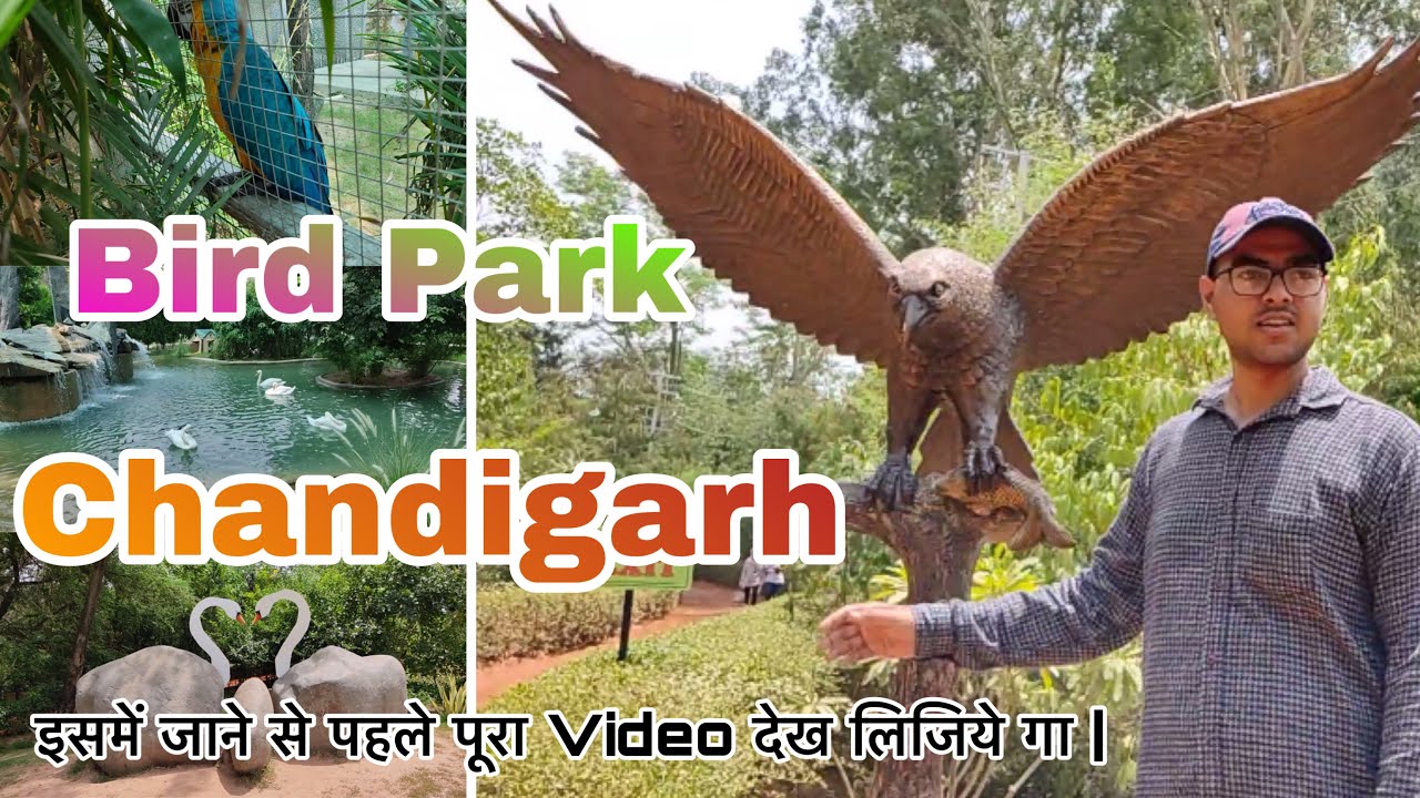 #video 🌺 bird park chandigarh | Brid Park visits in Chandigarh | brid park in Chandigarh #avnishch