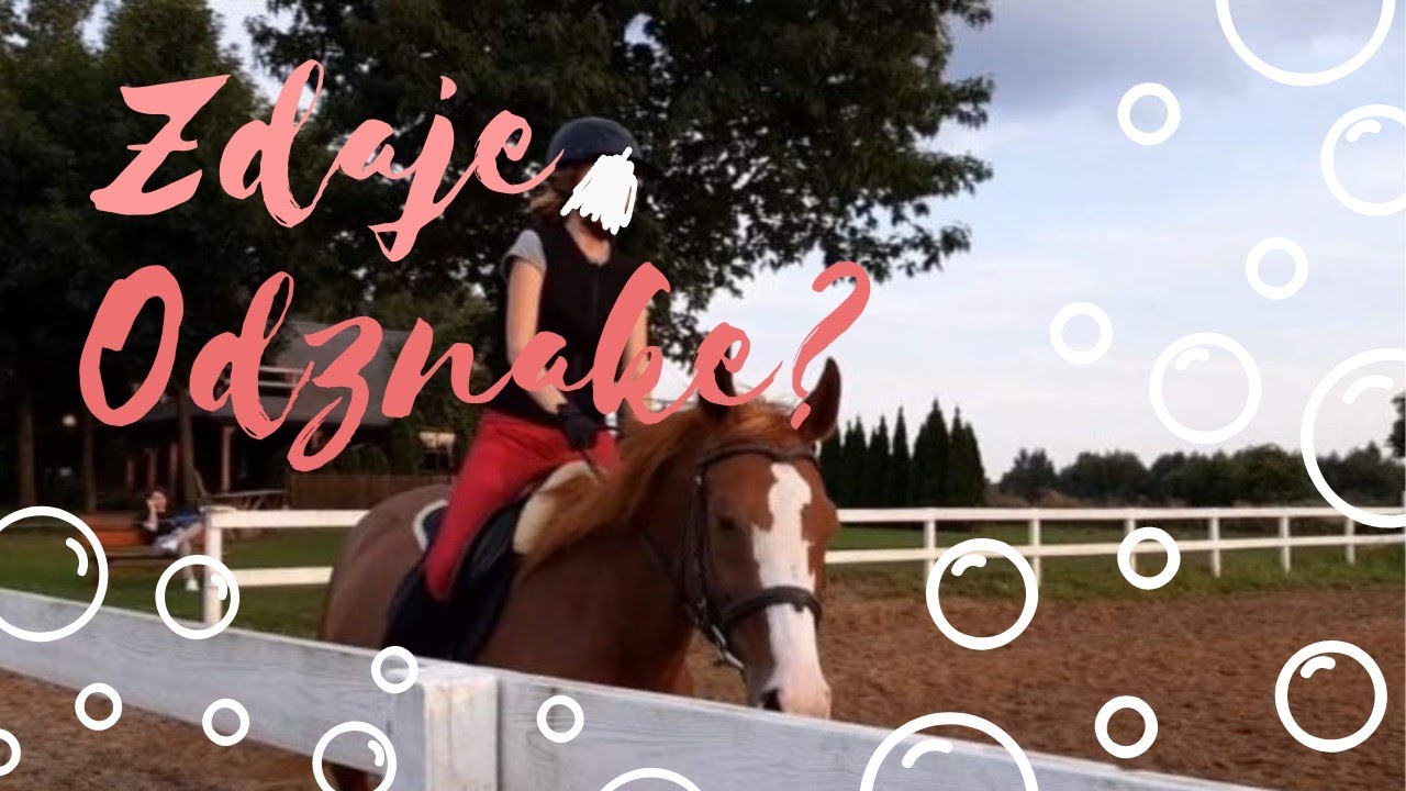 Brązowa Odznaka Jeździecka! | ZDAJE?