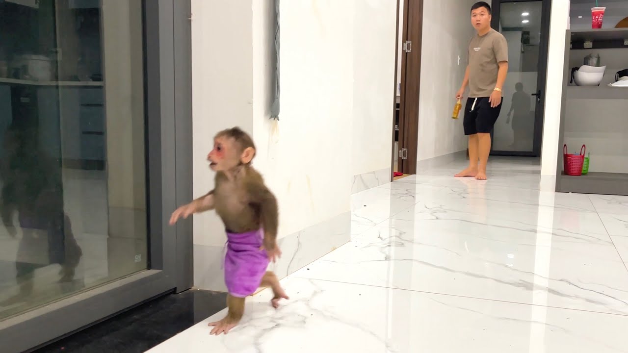 Too Funny! CUBIS Sneaks Away From Bath Time and Dad Can’t Stop Laughing