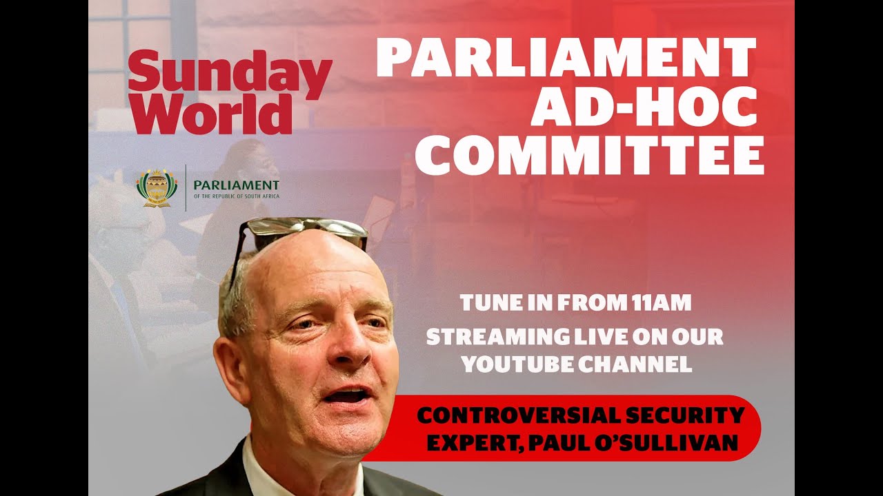 Ad Hoc Committee| 11 February 2026