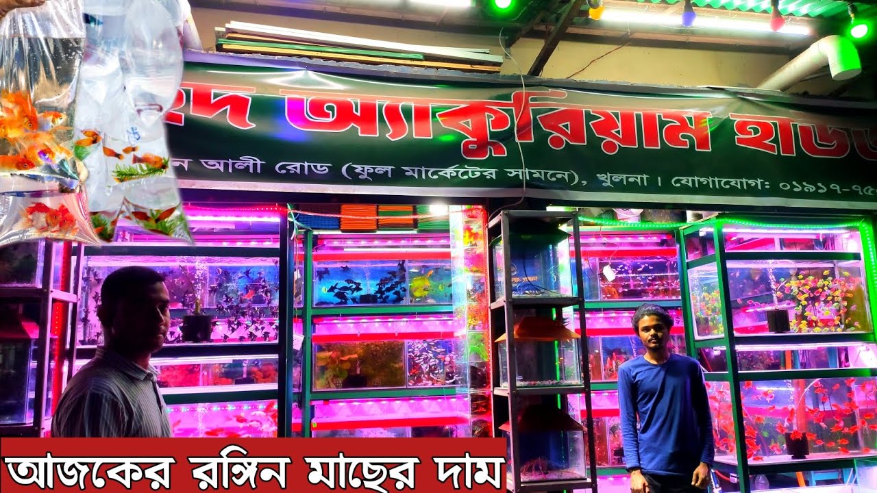 Aquarium Fish Price In Bangladesh 2026🐠Aquarium Fish Price | Aquarium | Aquarium Fish Price In BD🐠