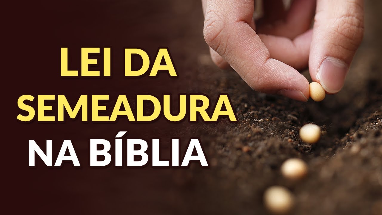 A LEI DA SEMEADURA E DA COLHEITA ESTÁ NA BÍBLIA? QUEM PLANTA COLHE?