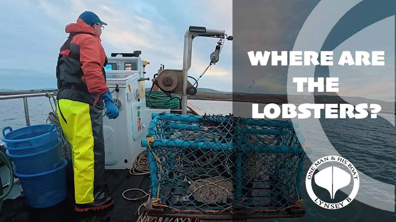 Where are the Lobsters?