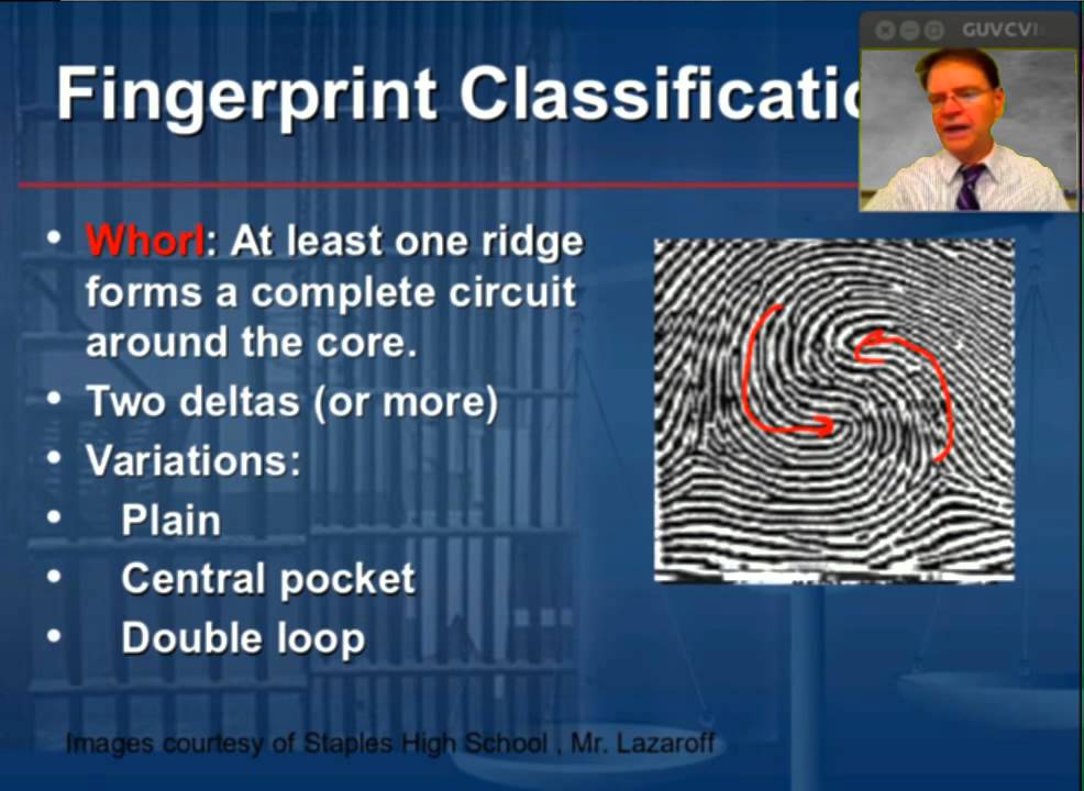 Fingerprints, Part 2: Classification and Individualization